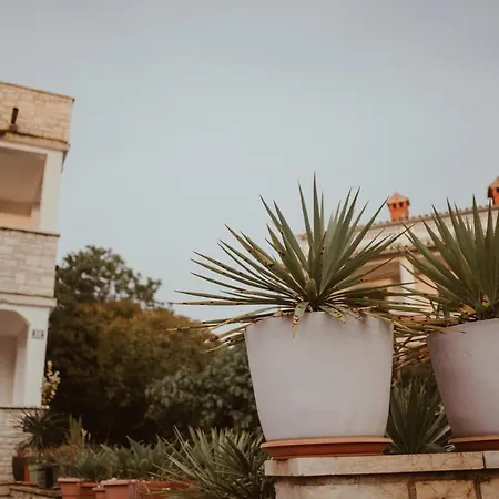 Apartment Perla Poreč